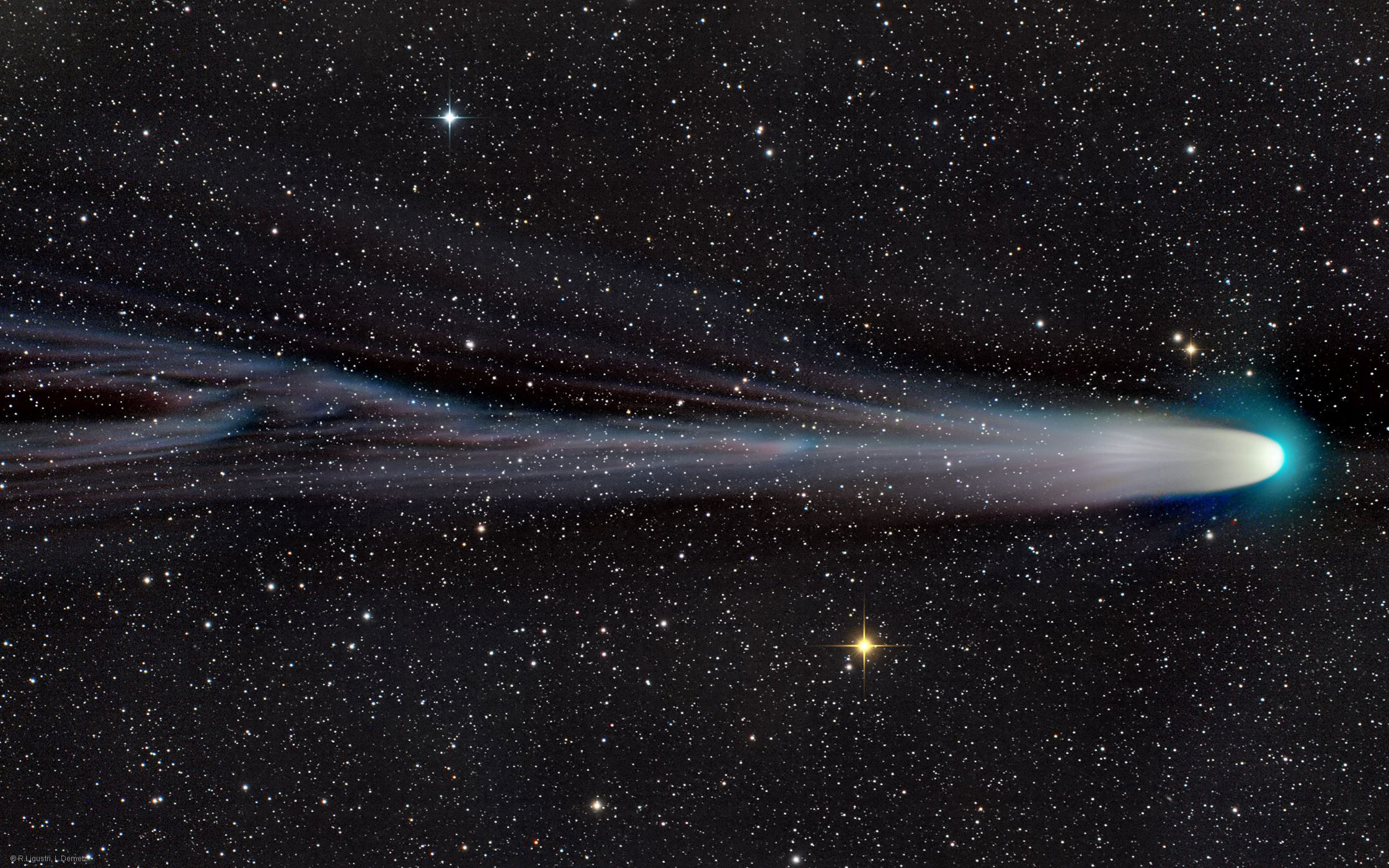 伦纳德彗星“圣诞彗星”美丽的彗尾