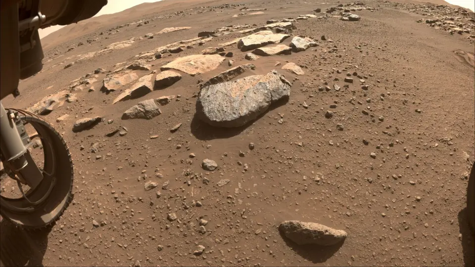 毅力号拍摄的火星岩石“罗切特”