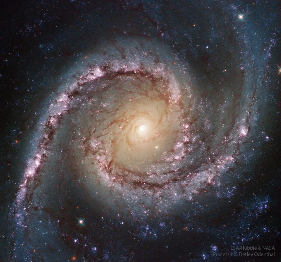 剑鱼座美丽的西班牙舞者旋涡星系NGC 1566