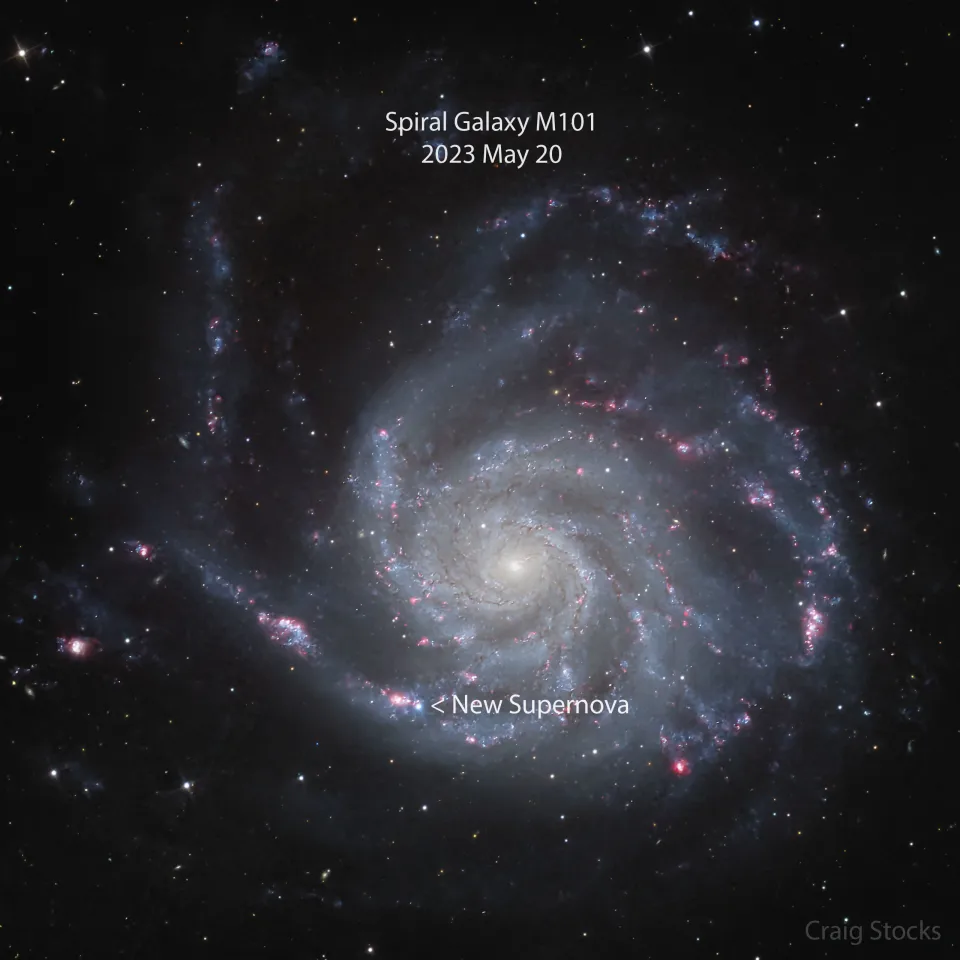 在美丽的风车星系M101中发现一颗超新星
