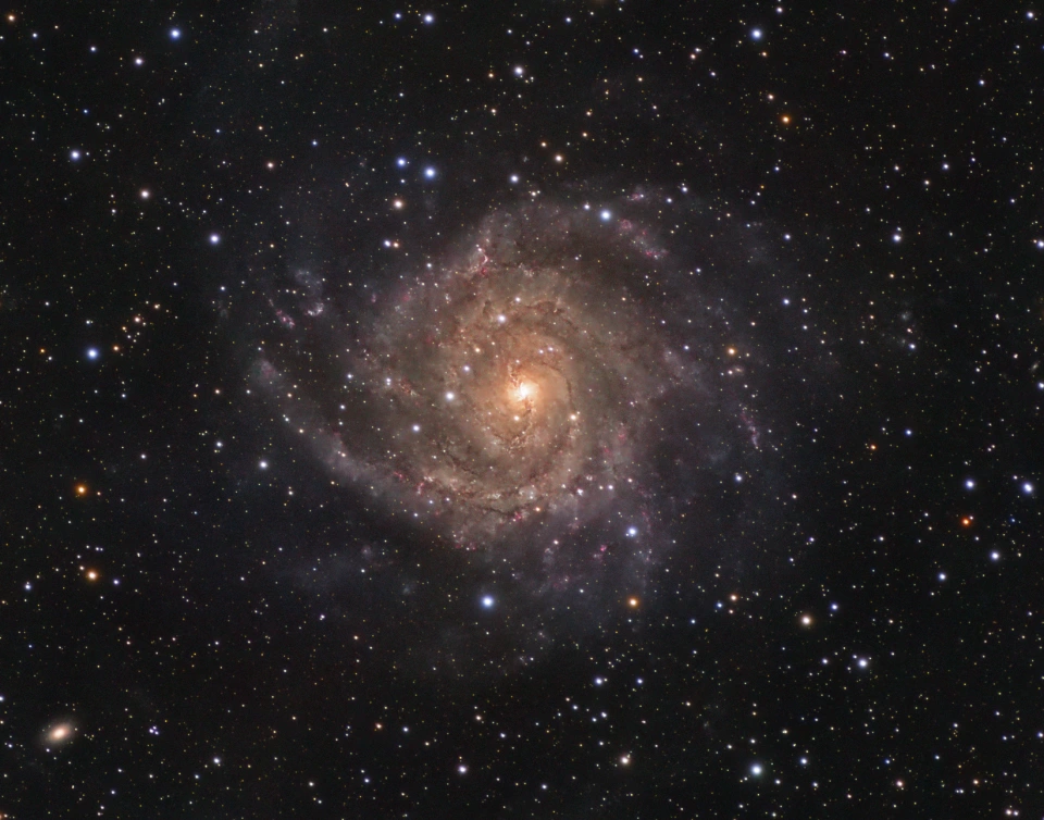鹿豹座隐藏的螺旋星系IC 342