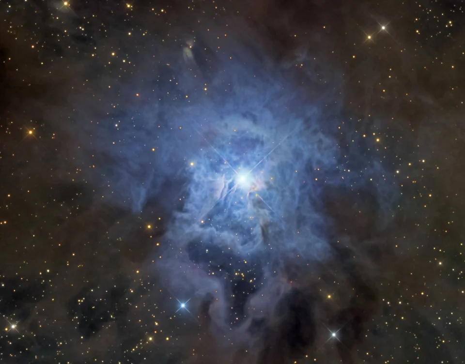 美丽的宇宙花朵：鸢尾花星云NGC 7023