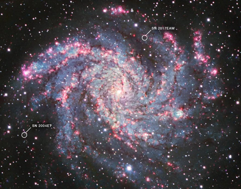 詹姆斯·韦伯太空望远镜在两颗超新星中的定位尘埃库