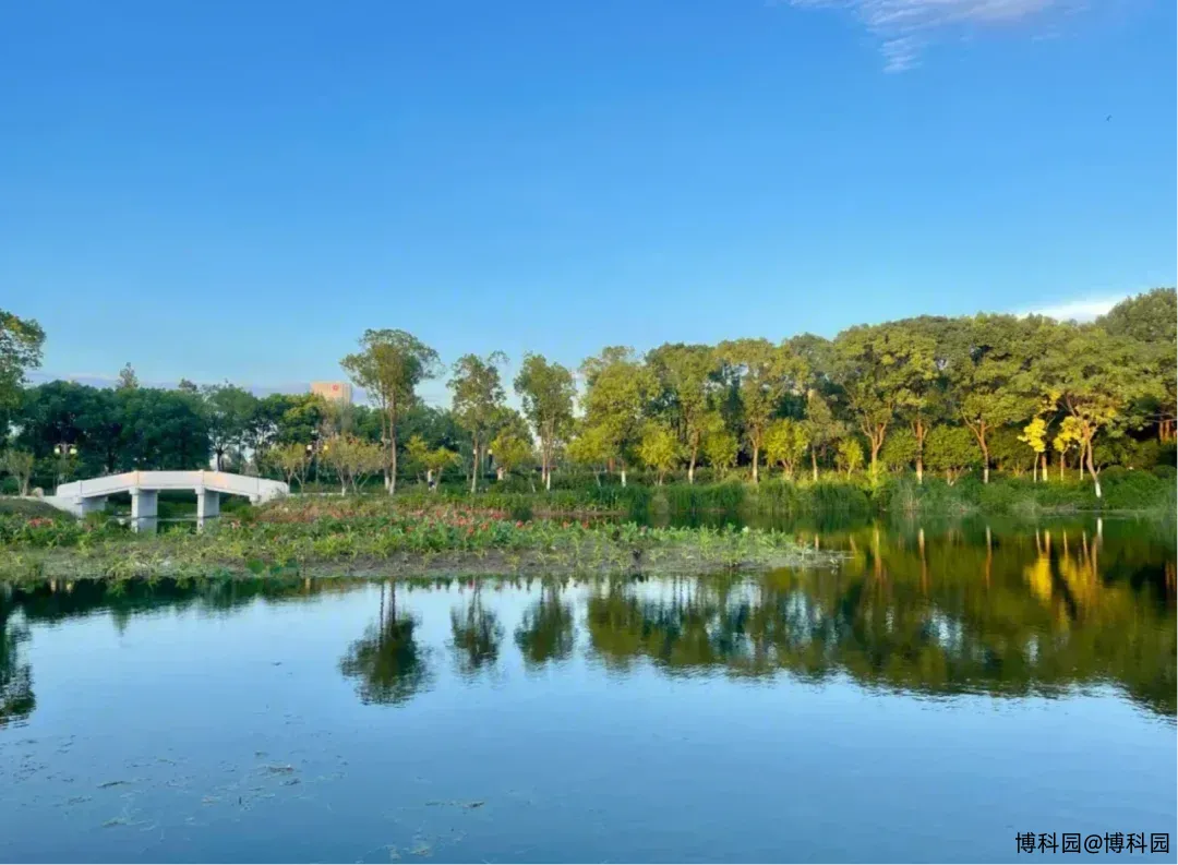 刚刚去了一下赛西湖，春天了花开了，人很少

还配了个音乐😂😂😂