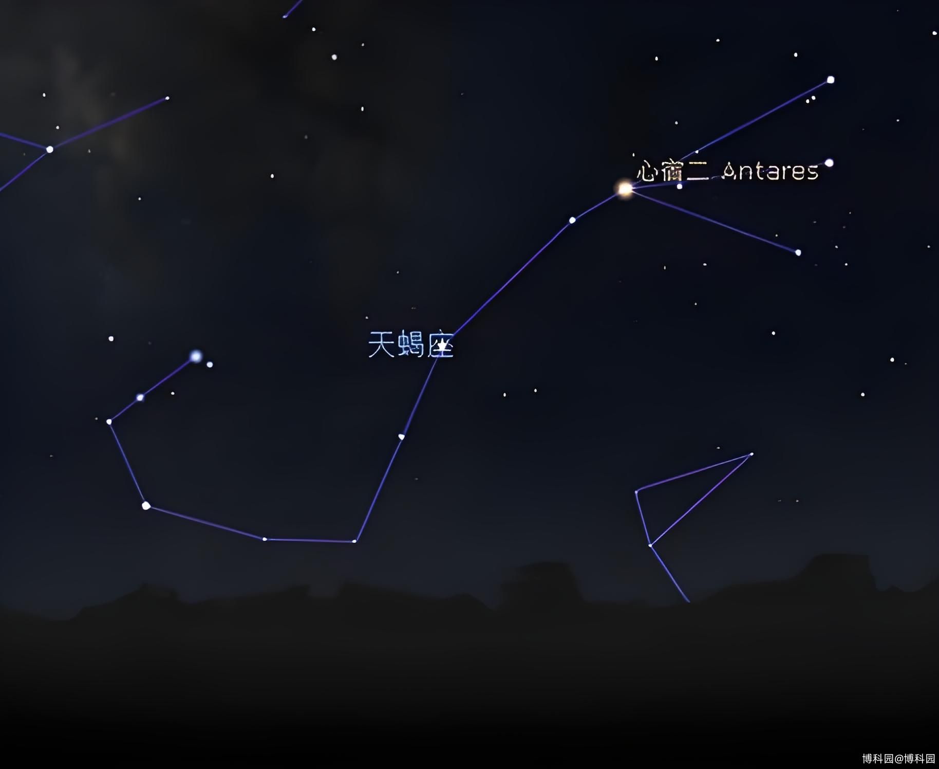 星空天蝎座之夏