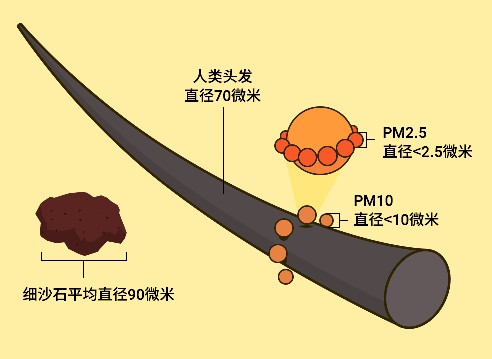 PM2.5是什么？