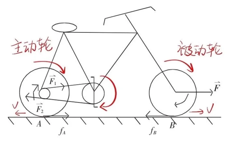 为什么自行车的前轮与地面的摩擦力向后，后轮与地面的摩擦力向前？