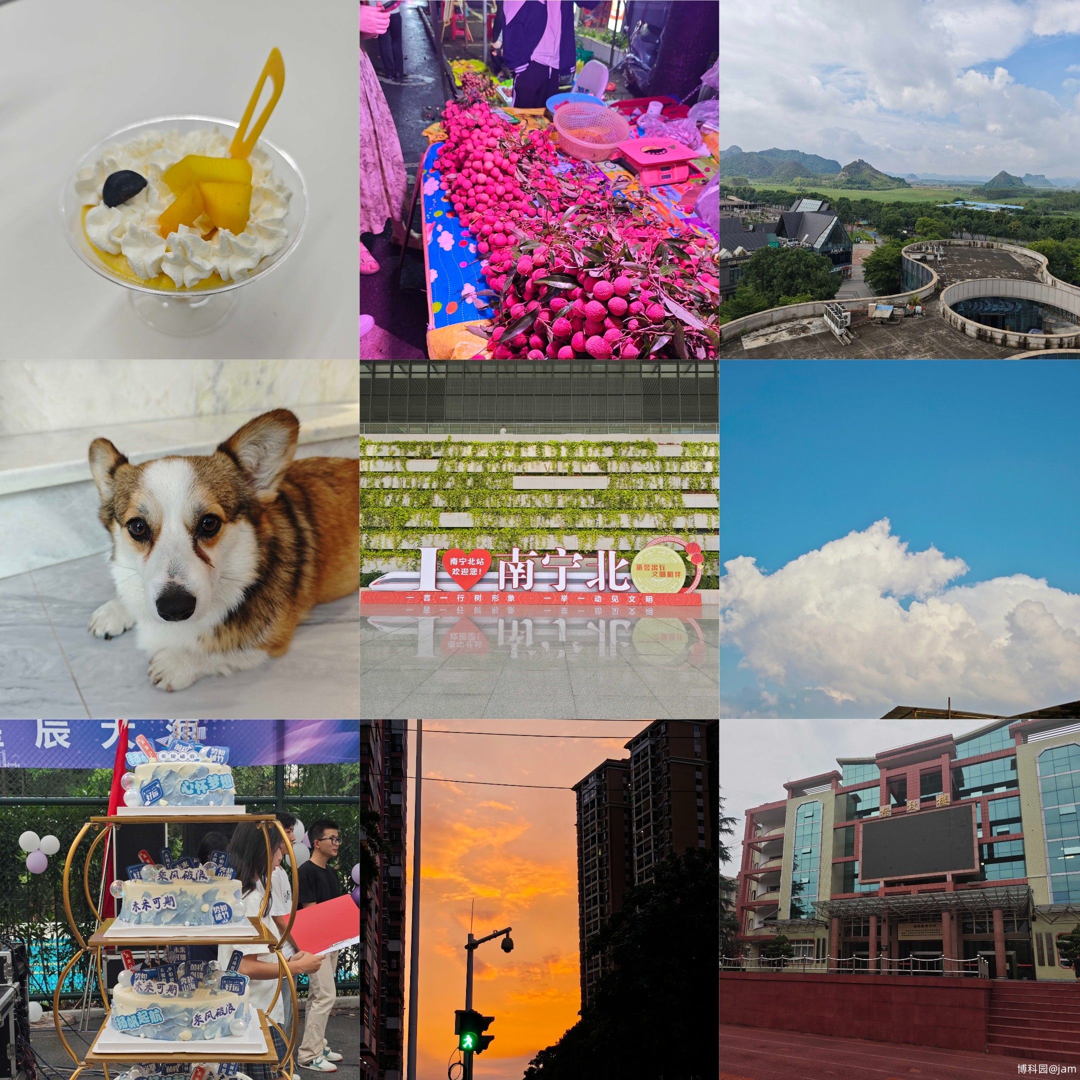 我的2025，期待的2026