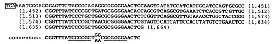 核酸的剪刀——CRISPR-Cas系统（1）