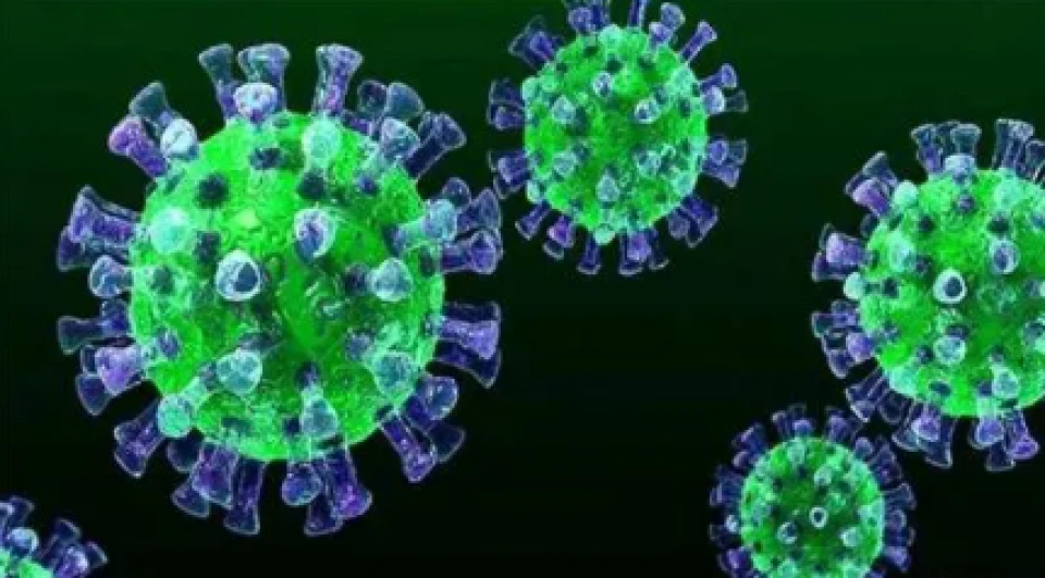 新型冠状病毒概述和防治要点（1）