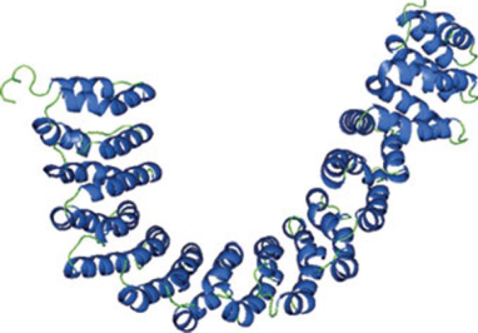 粘合素与DNA环（上）