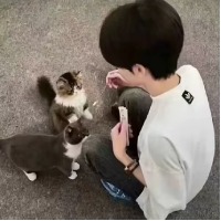马眀善