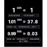 莲韵