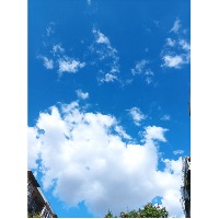 毉玫幻