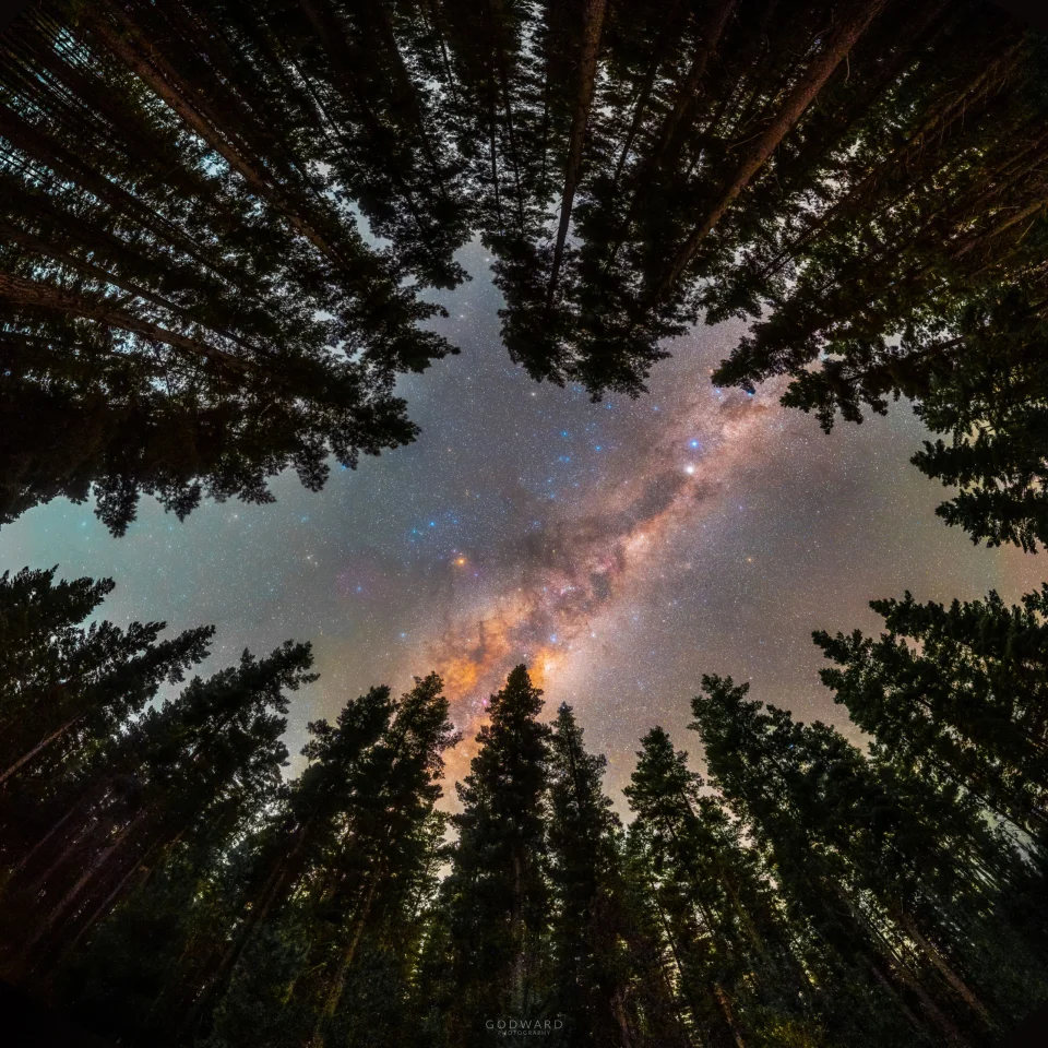 NASA（从森林角度去看银河系）