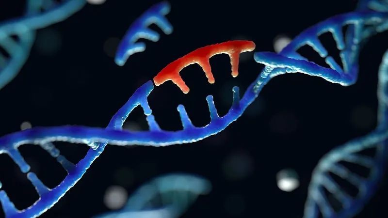 量子力学导致基因突变？科学家们掌握了一些证据