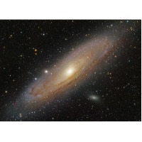 M31