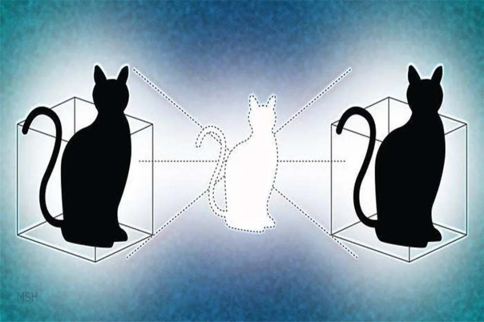 以一猫之力，把量子力学说明白~