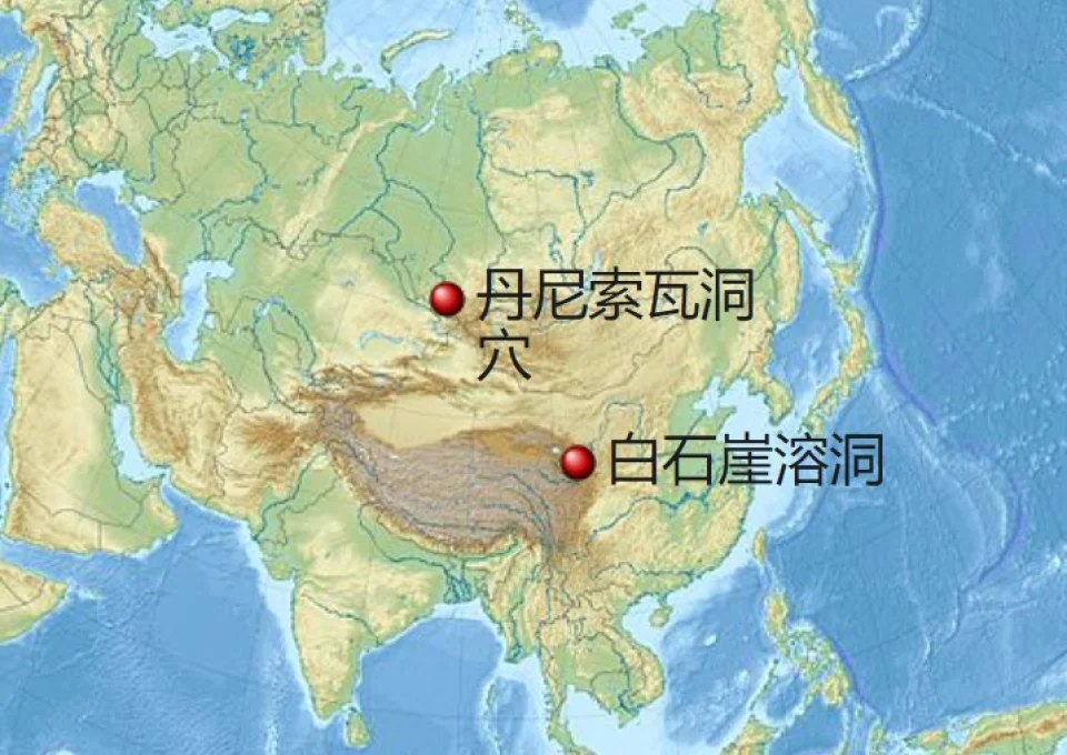 青藏高原发现丹尼索瓦人遗迹：中国人又多了一个祖宗？