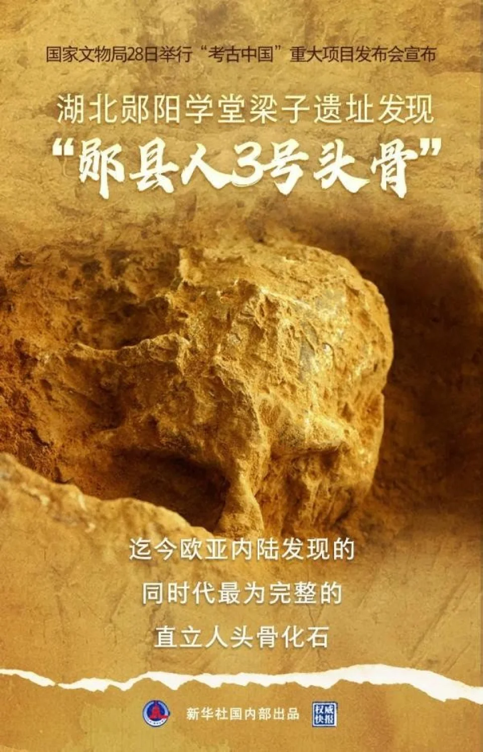 湖北郧县人3号头骨，距今百万年头骨化石