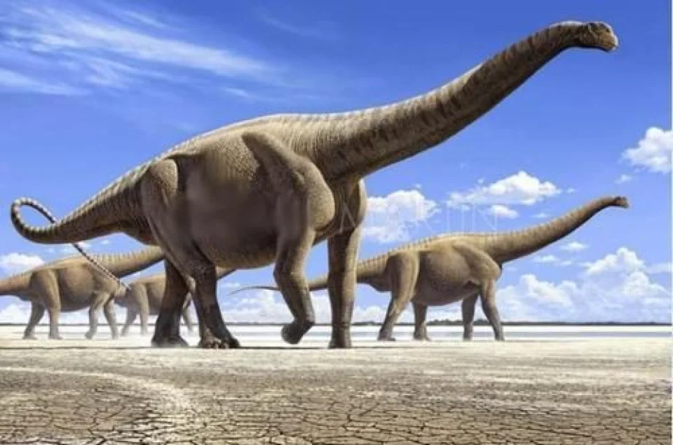 双腔龙是目前已知体型最大的恐龙